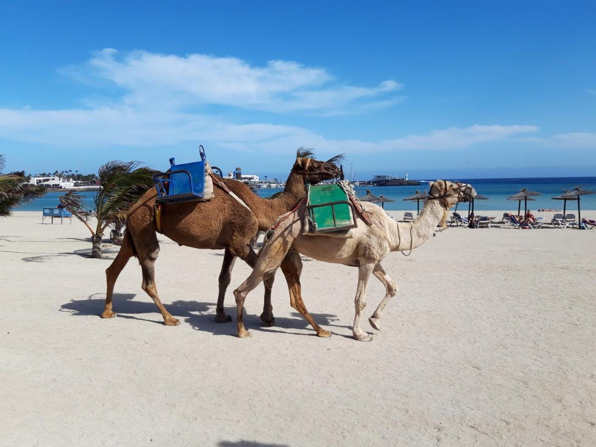 Casa Elcano Lägenhet Corralejo Exteriör bild